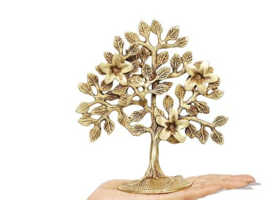 crown of thorms