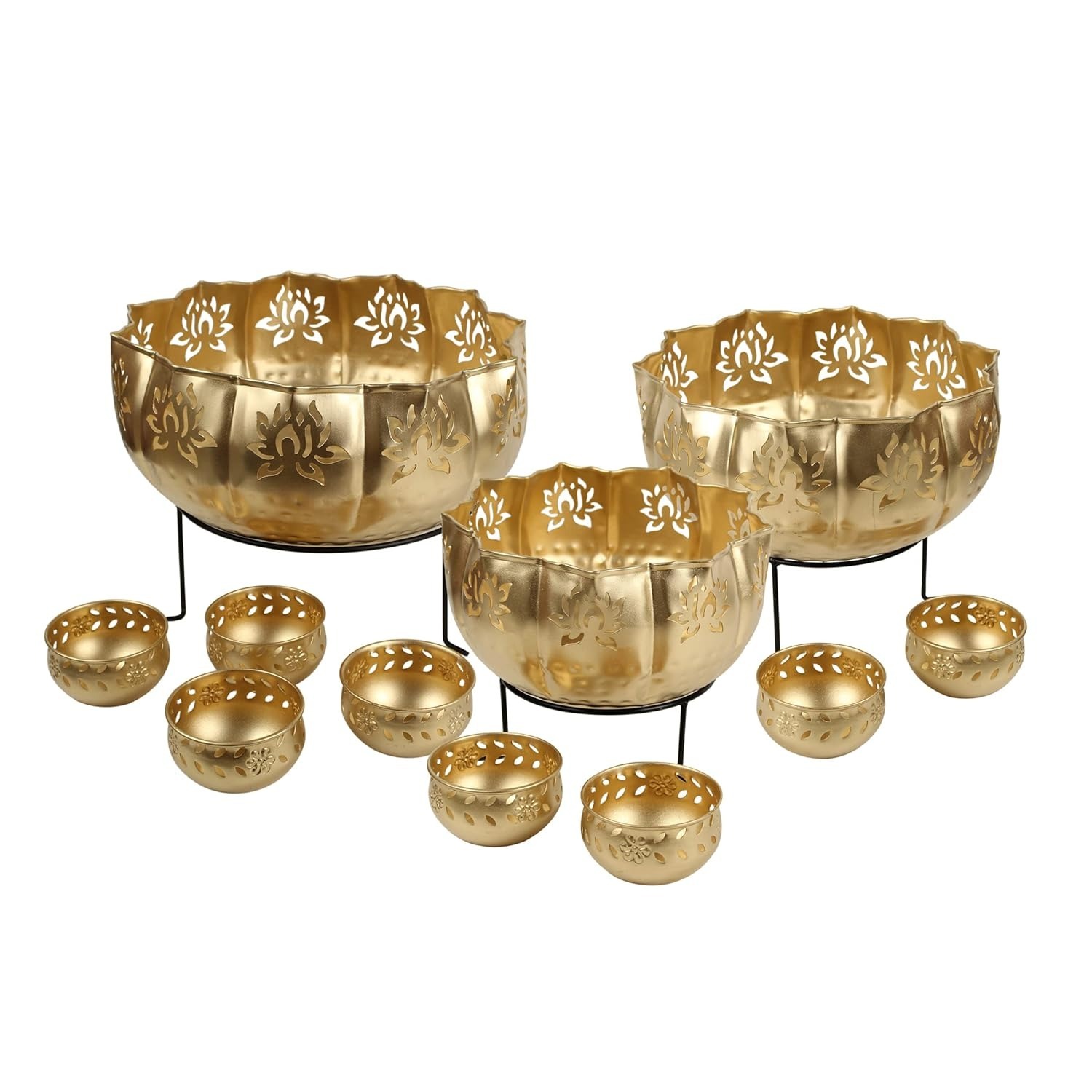 crown of thorms